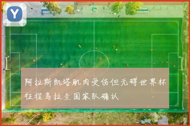 阿拉斯凯塔肌肉受伤但无碍世界杯征程乌拉圭国家队确认